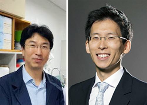 생명공학과 조용철 교수(왼쪽), 바이오의공학부 정아람 교수(오른쪽)